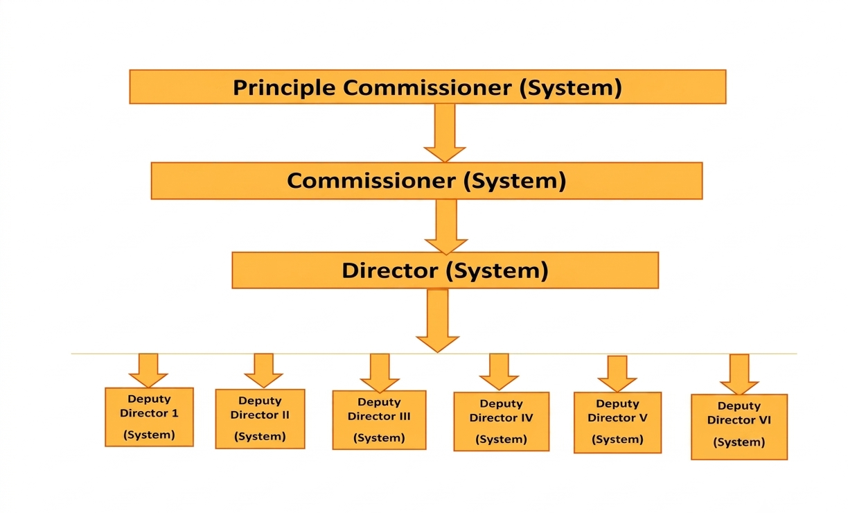 System