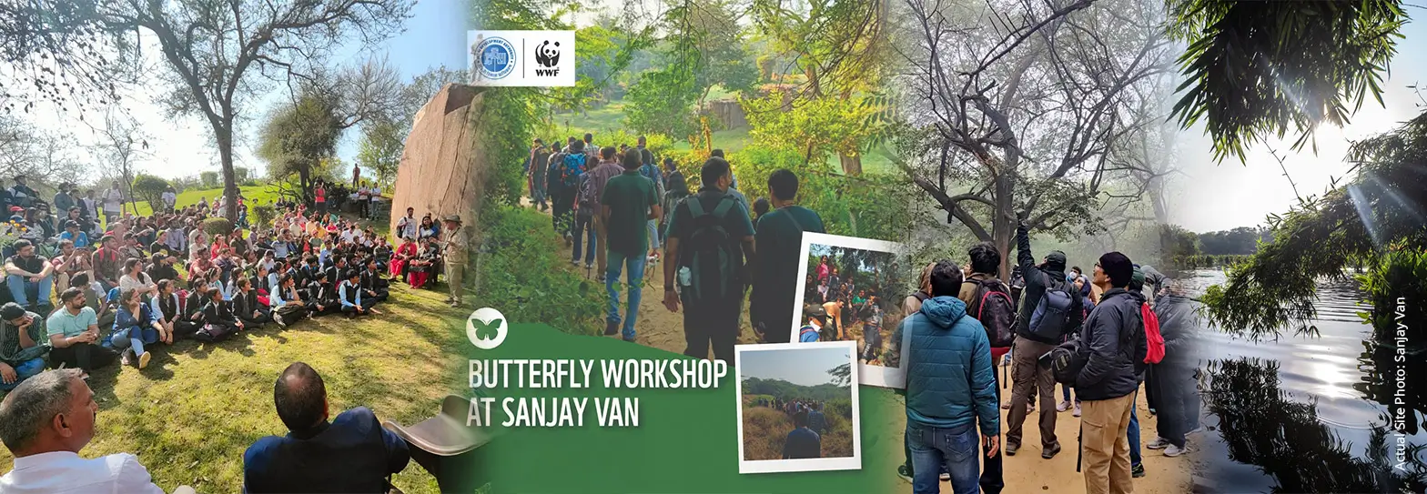 Sanjay Van
