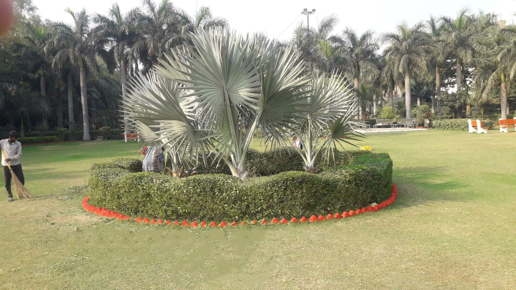 Park And Gardens DDA