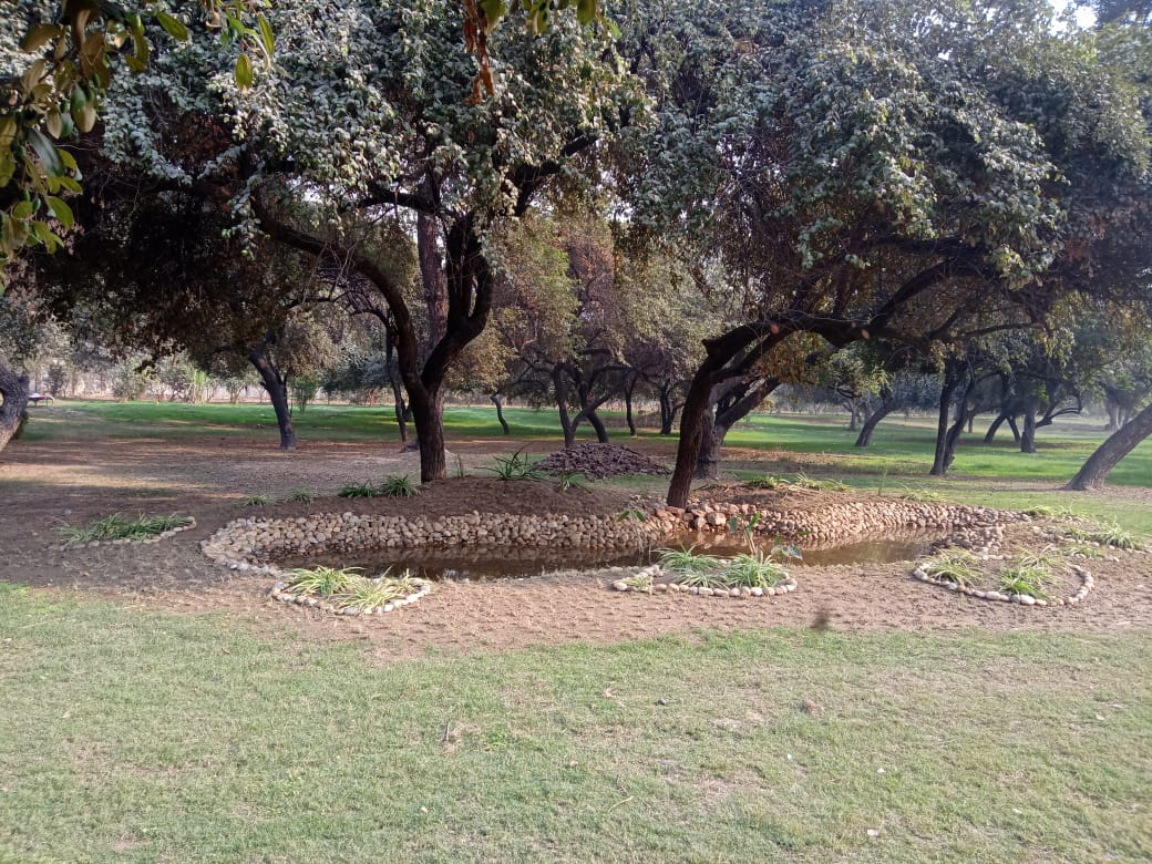 अजीज बख्श वाला बाग, पीतमपुर में हर्बल गार्डन