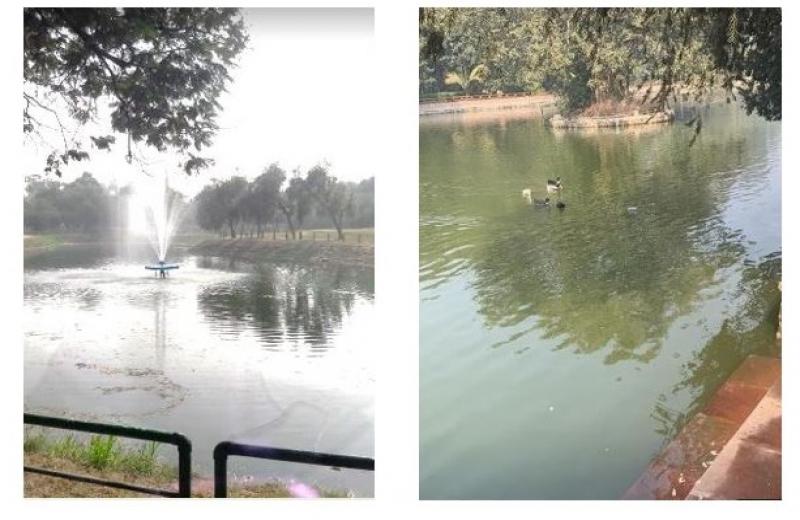 Ashoka park, New Friend Colony & Prasad Nagar lake