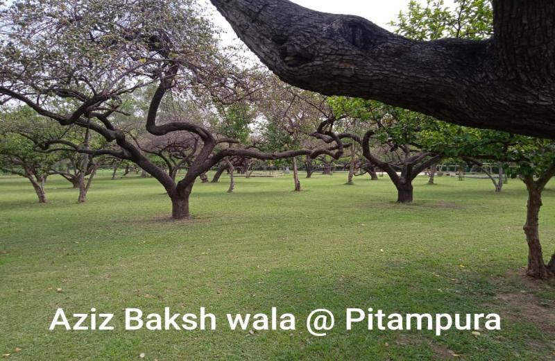 Aziz Bksh wala Bagh, Pitampura