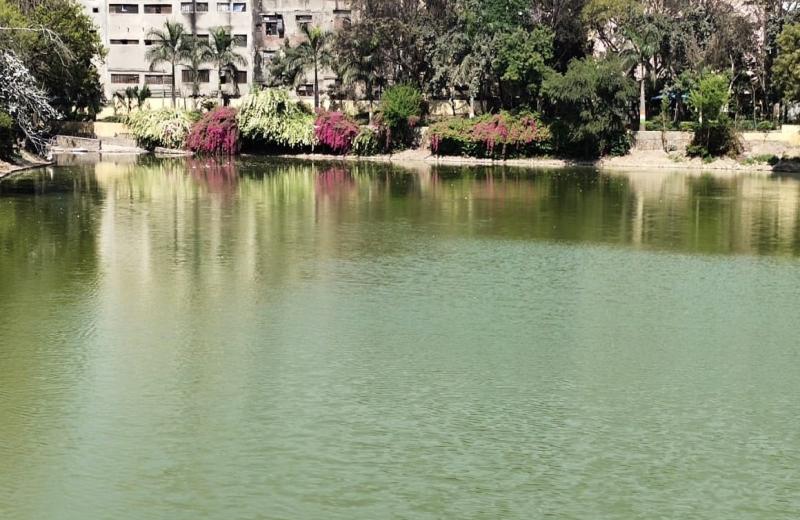 Bhagwati talab, Madipur