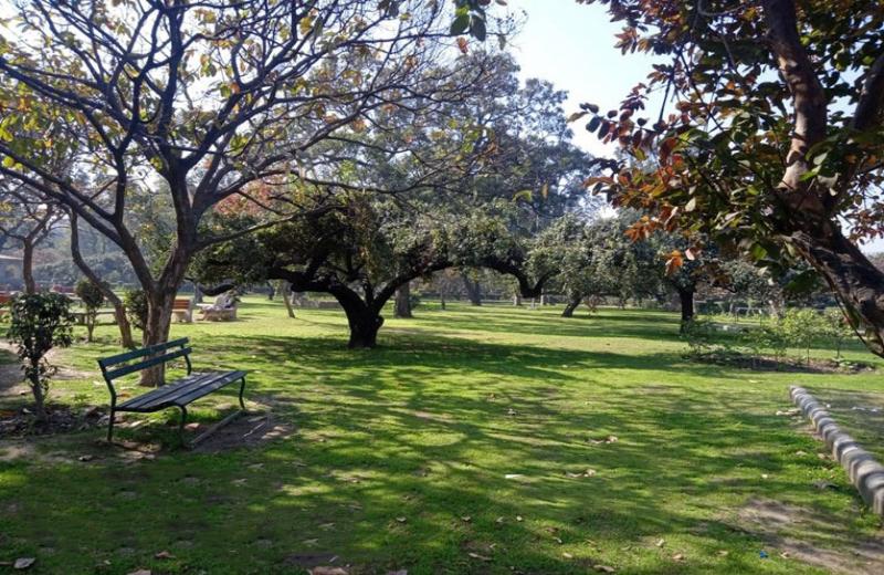 District Park, Shalimar wala Bagh