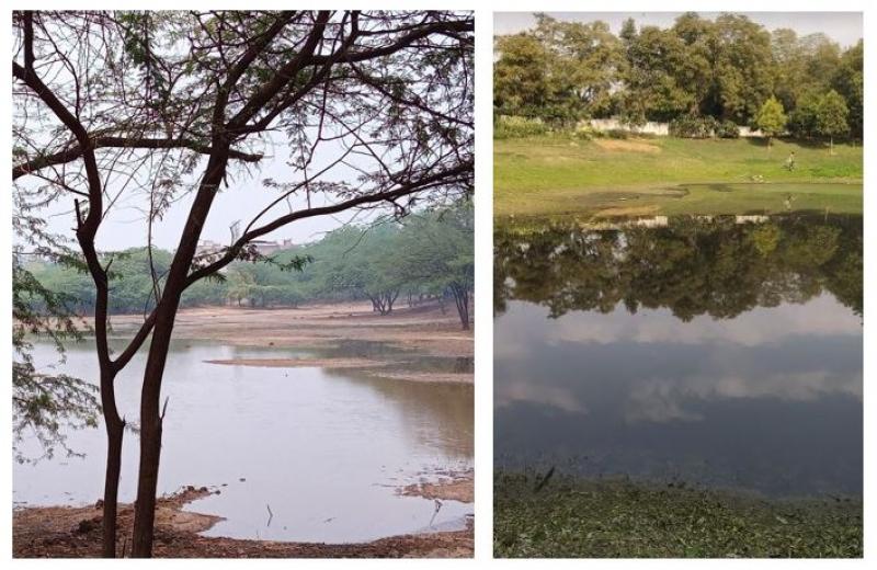 G-8 lake Park at Harinagar & Vasant Vatika at Vasant Kunj