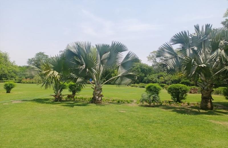 Vijay Mandal Park
