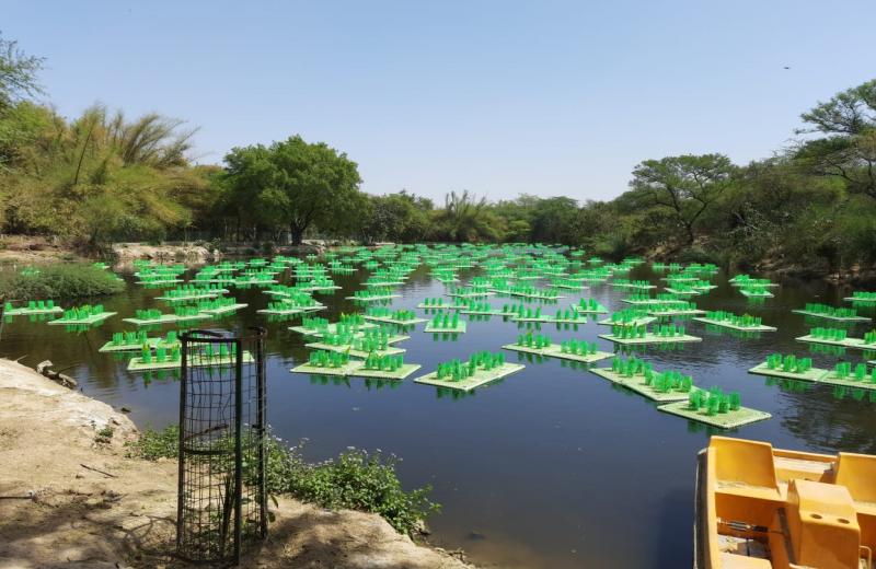 Revival of Water Bodies