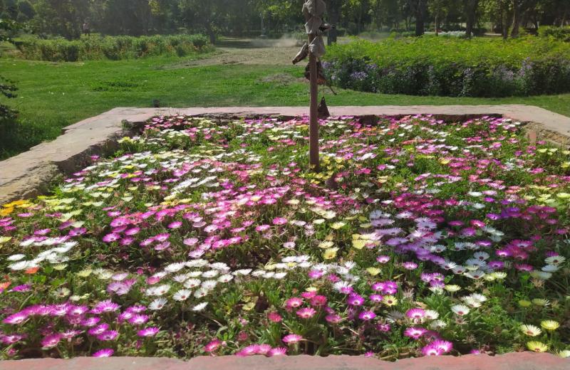 Satya Park, Naraina