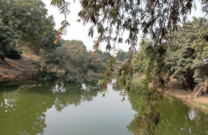 Swarn Jayanti Park 