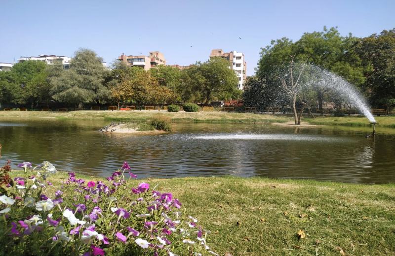 Lake at Central Nursery Sector-5, Dwarka