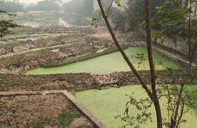 Kalindi Biodiversity Park - DND to Kalindi By-pass (Western Bank)