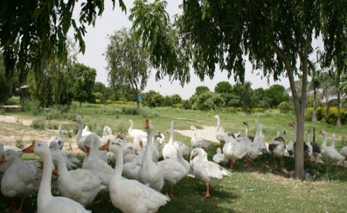 photo-gallery